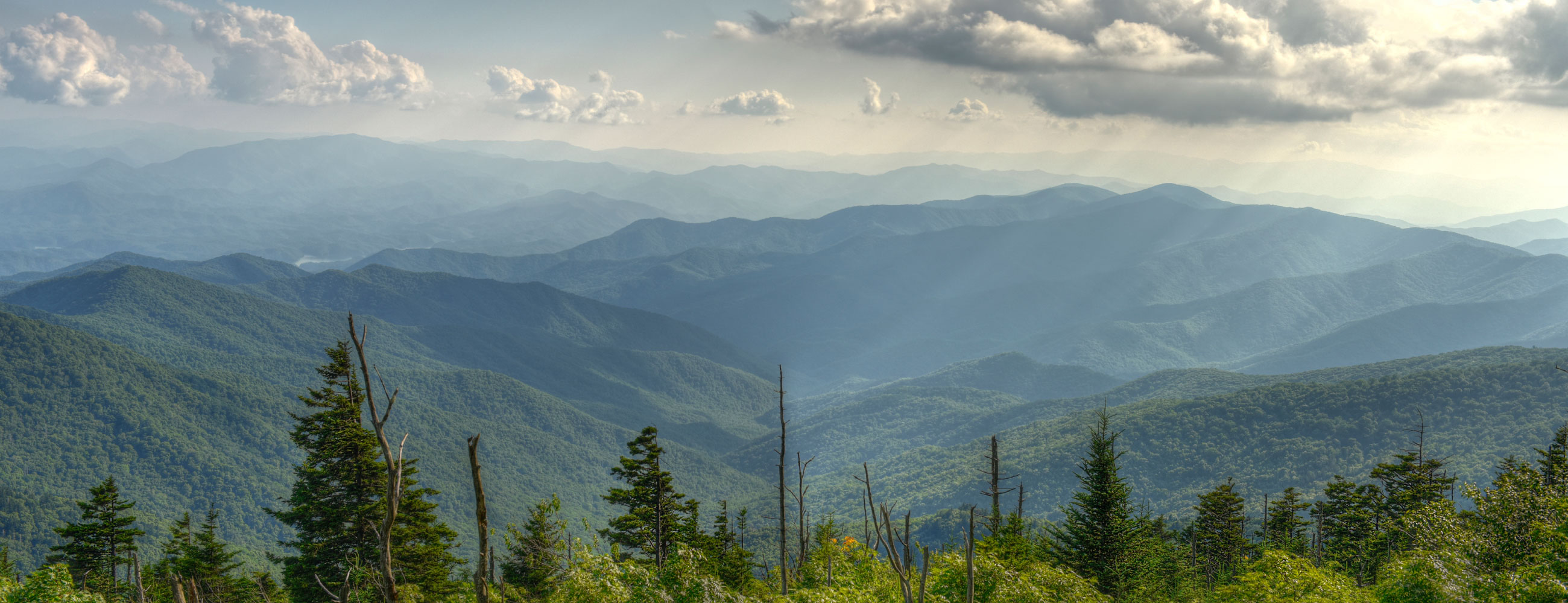 Magazinul Lui Nea Ilie