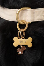 The Paw-sonalized Charm Collection