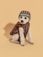 Cozy Stripe Dog Puffer