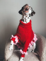 Ballet Dream Sweater - imagine 2