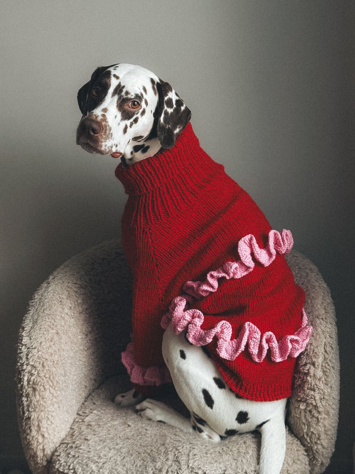 D8F2EE4E-F646-470A-A764-31F0B04D73B7 Ballet Dream Sweater - imagine 1