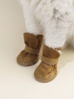 Winter Paw Protectors