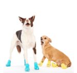 The Pawsome Fall Clog Shoes