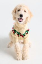 The Merry Pup Christmas Set
